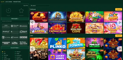 Slots lobby with popular and new games, provider filter and collections